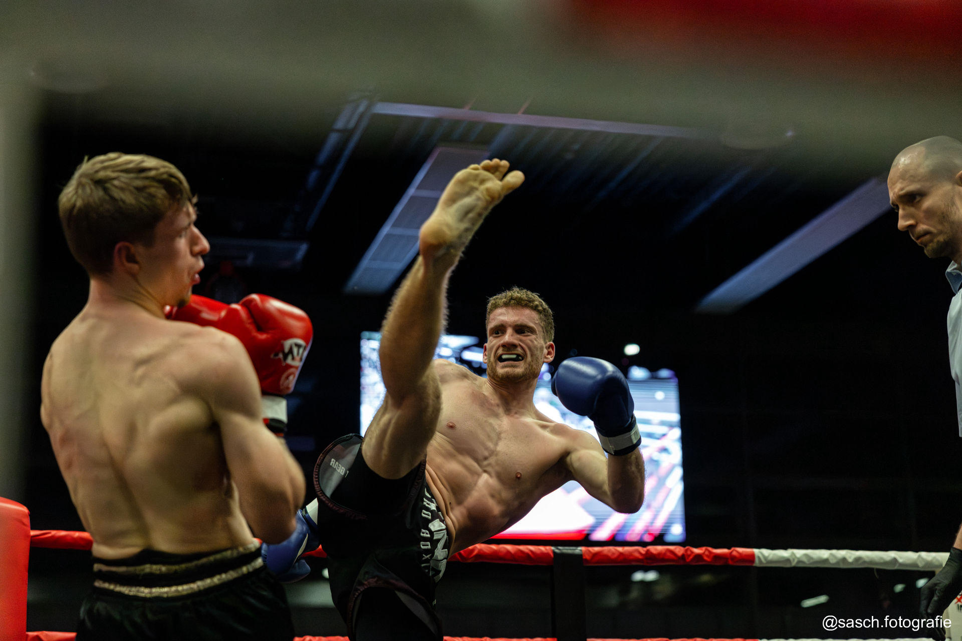 Kickboxen Fight Night in Mannheim